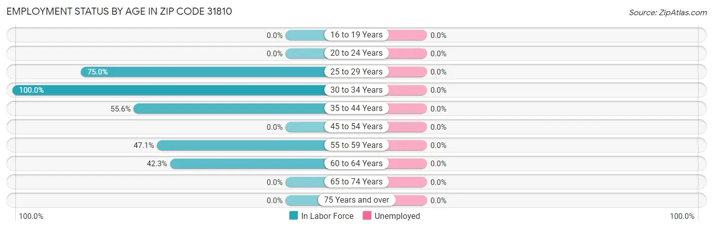 Employment Status by Age in Zip Code 31810