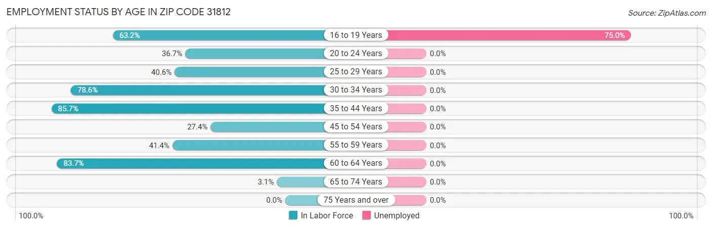 Employment Status by Age in Zip Code 31812