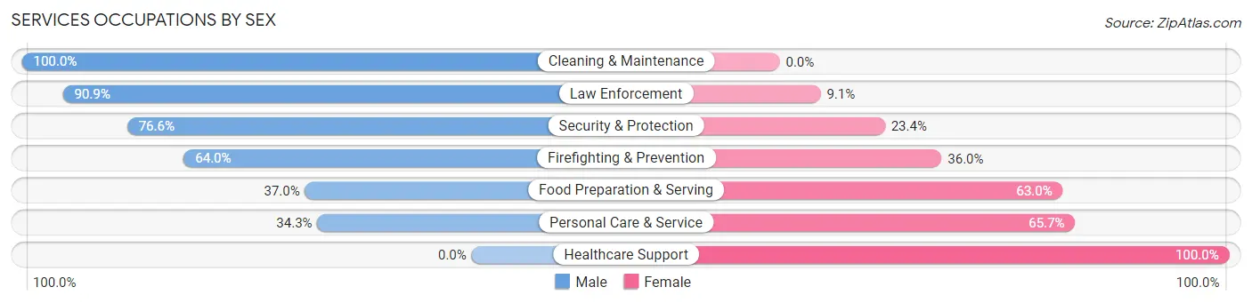 Services Occupations by Sex in Zip Code 31831