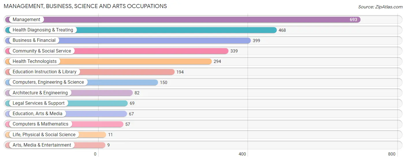 Management, Business, Science and Arts Occupations in Zip Code 32011