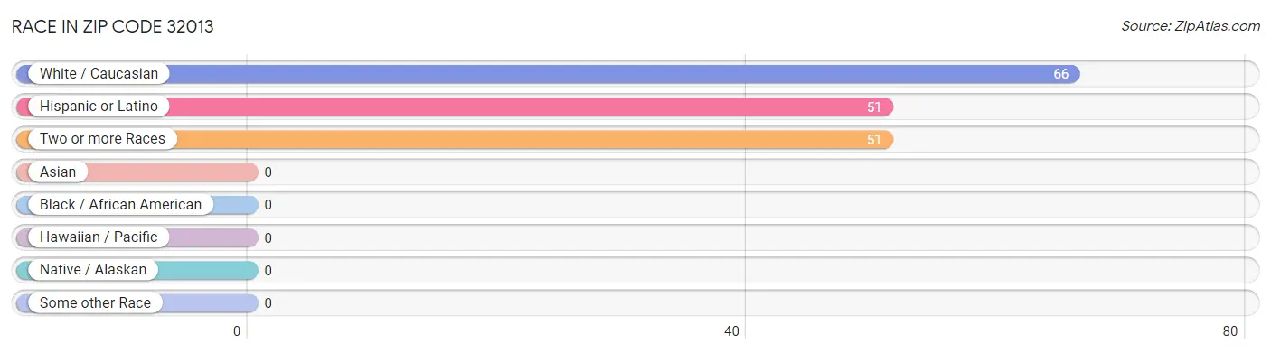 Race in Zip Code 32013