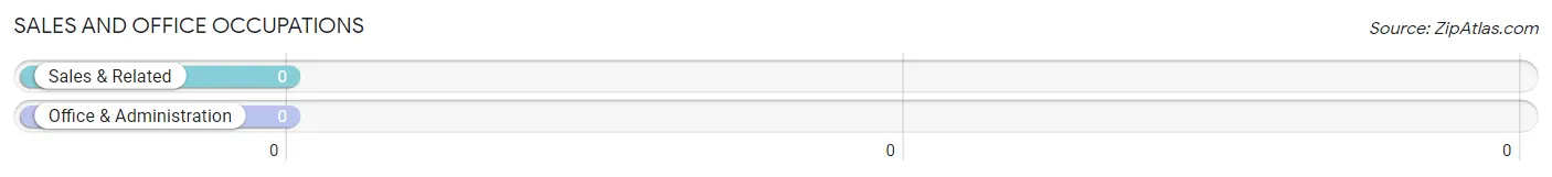 Sales and Office Occupations in Zip Code 32013