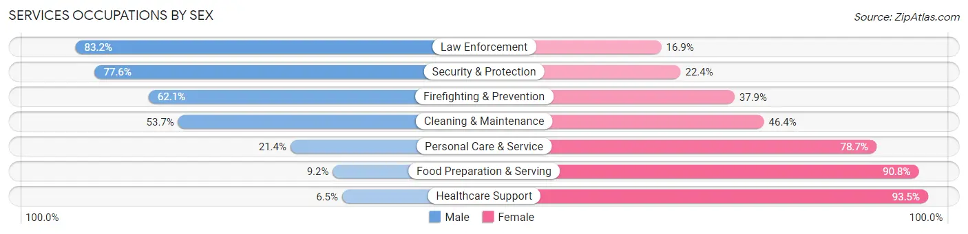 Services Occupations by Sex in Zip Code 32060