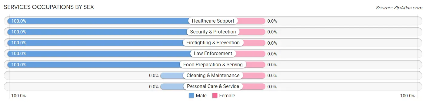 Services Occupations by Sex in Zip Code 32062