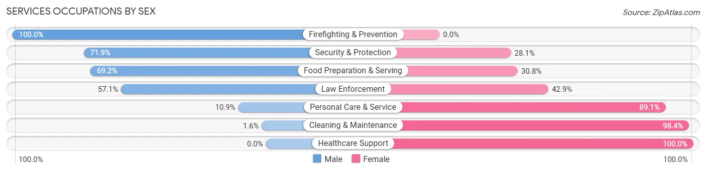 Services Occupations by Sex in Zip Code 32064