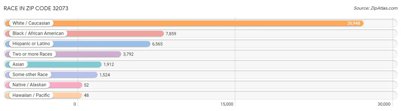 Race in Zip Code 32073