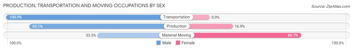 Production, Transportation and Moving Occupations by Sex in Zip Code 32102
