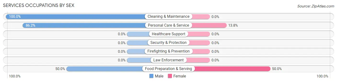 Services Occupations by Sex in Zip Code 32102