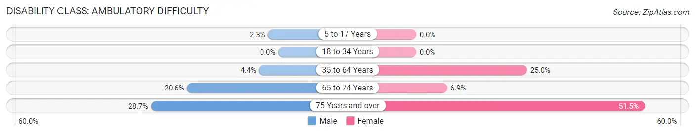 Disability in Zip Code 32113: <span>Ambulatory Difficulty</span>