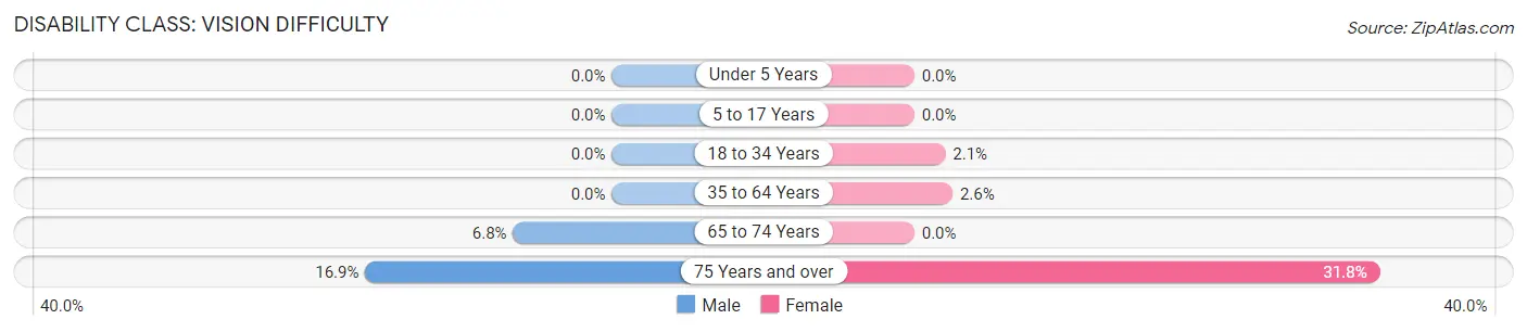 Disability in Zip Code 32113: <span>Vision Difficulty</span>