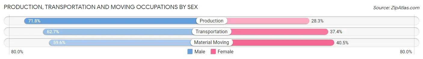 Production, Transportation and Moving Occupations by Sex in Zip Code 32119