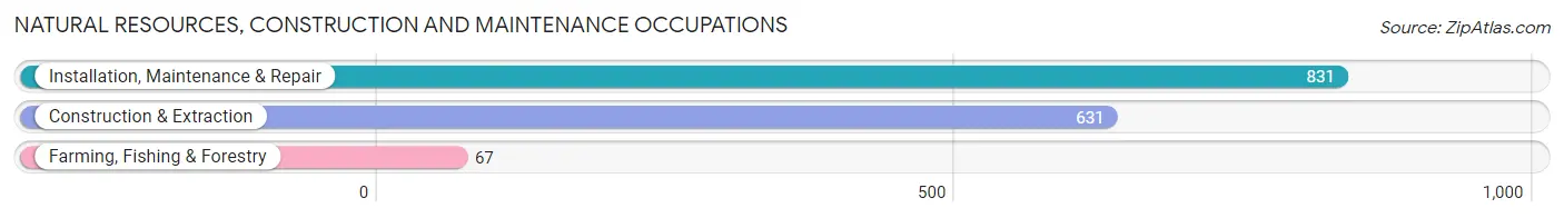 Natural Resources, Construction and Maintenance Occupations in Zip Code 32174