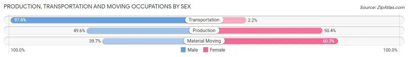 Production, Transportation and Moving Occupations by Sex in Zip Code 32181