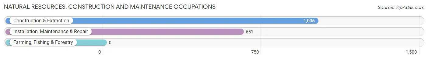 Natural Resources, Construction and Maintenance Occupations in Zip Code 32207