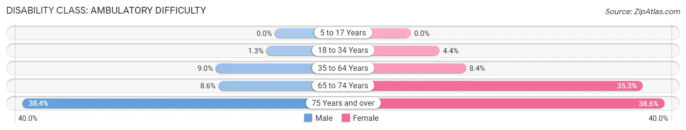 Disability in Zip Code 32221: <span>Ambulatory Difficulty</span>