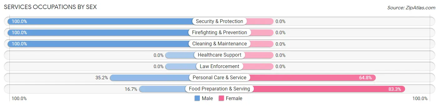 Services Occupations by Sex in Zip Code 32306
