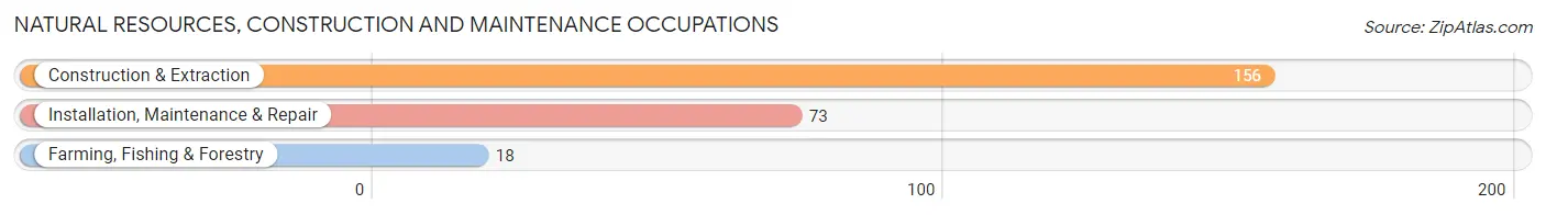 Natural Resources, Construction and Maintenance Occupations in Zip Code 32321