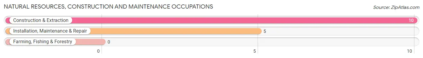 Natural Resources, Construction and Maintenance Occupations in Zip Code 32511