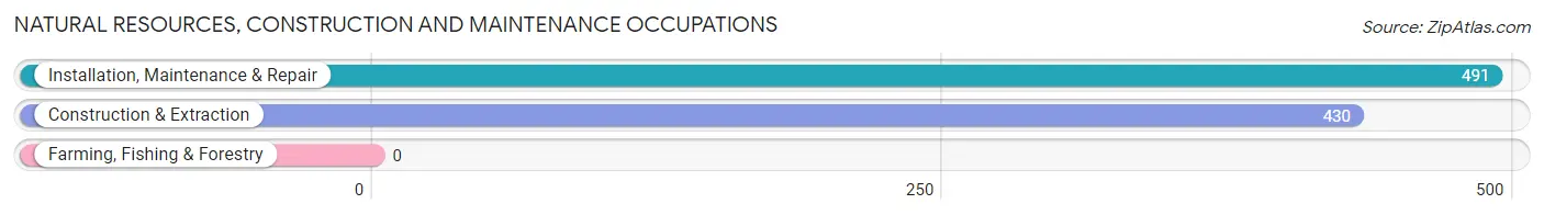 Natural Resources, Construction and Maintenance Occupations in Zip Code 32713