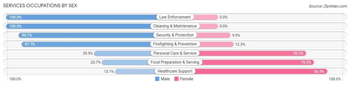 Services Occupations by Sex in Zip Code 32827