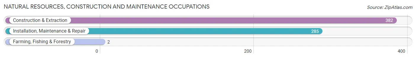 Natural Resources, Construction and Maintenance Occupations in Zip Code 32901