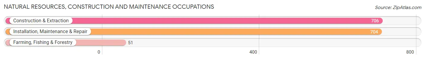 Natural Resources, Construction and Maintenance Occupations in Zip Code 32955