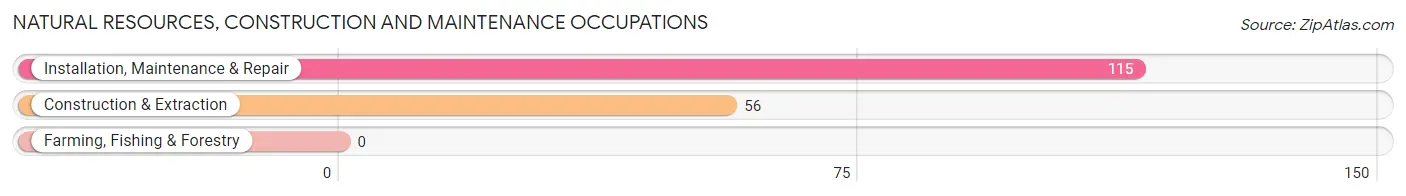 Natural Resources, Construction and Maintenance Occupations in Zip Code 32963