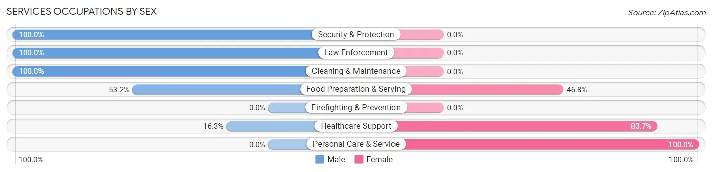 Services Occupations by Sex in Zip Code 32976