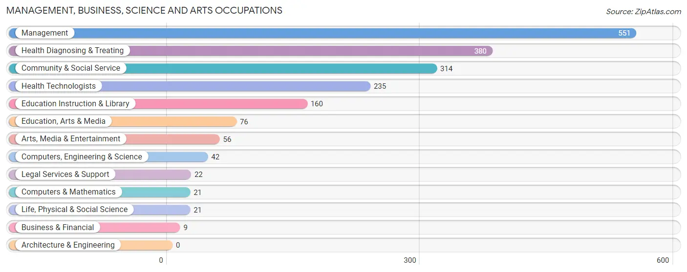 Management, Business, Science and Arts Occupations in Zip Code 33031