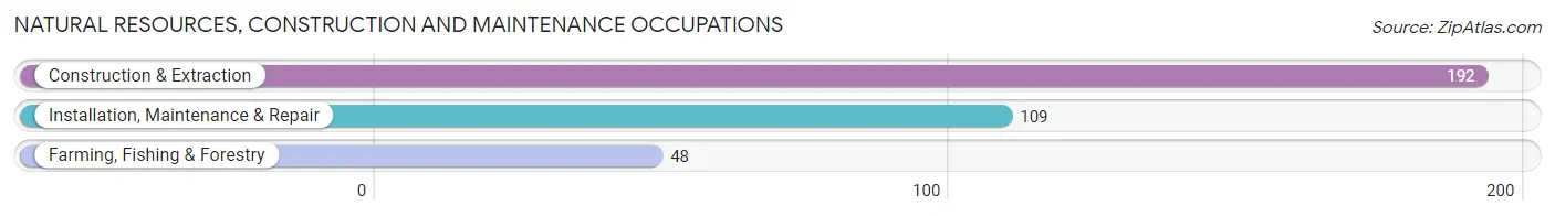 Natural Resources, Construction and Maintenance Occupations in Zip Code 33031