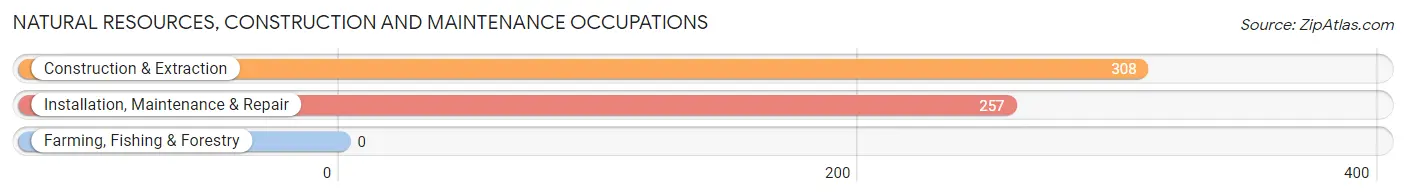 Natural Resources, Construction and Maintenance Occupations in Zip Code 33076