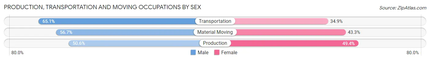 Production, Transportation and Moving Occupations by Sex in Zip Code 33136