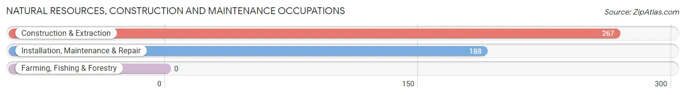 Natural Resources, Construction and Maintenance Occupations in Zip Code 33138