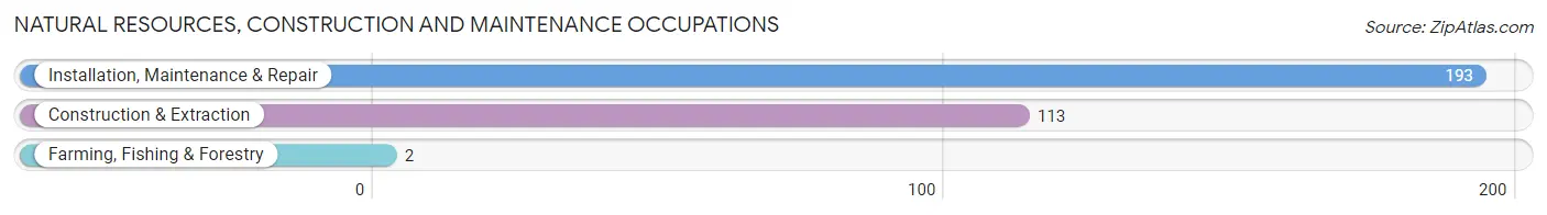 Natural Resources, Construction and Maintenance Occupations in Zip Code 33140