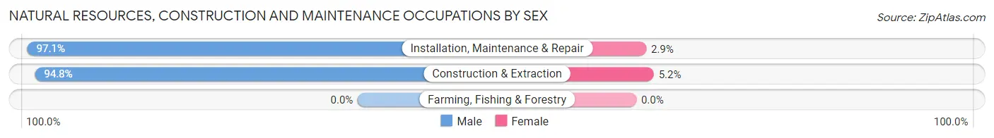 Natural Resources, Construction and Maintenance Occupations by Sex in Zip Code 33167