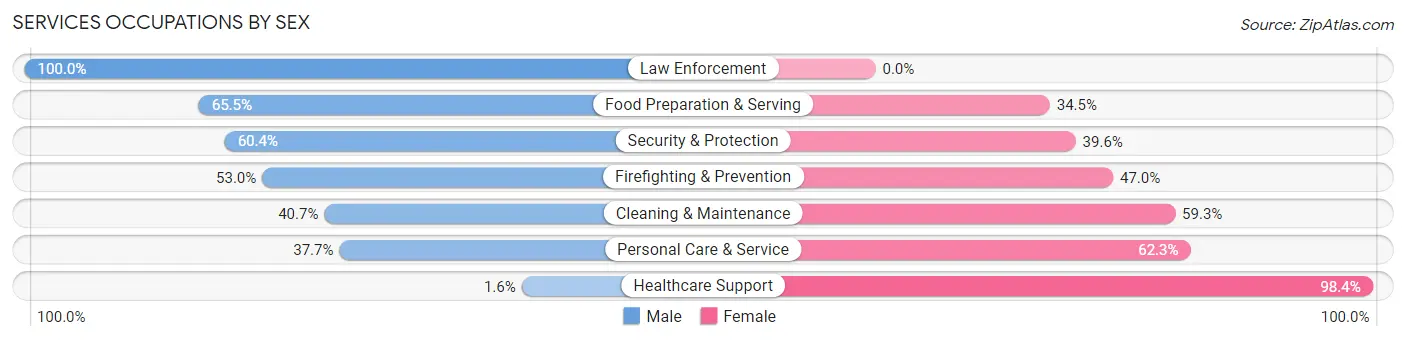 Services Occupations by Sex in Zip Code 33167