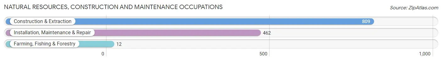 Natural Resources, Construction and Maintenance Occupations in Zip Code 33168