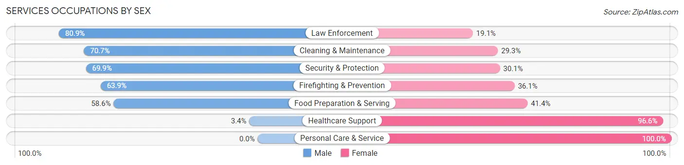 Services Occupations by Sex in Zip Code 33170