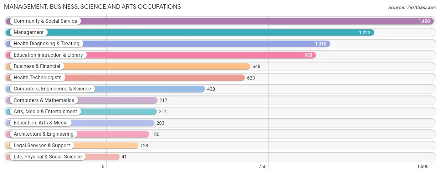 Management, Business, Science and Arts Occupations in Zip Code 33174