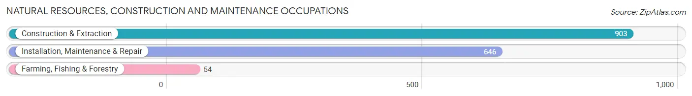 Natural Resources, Construction and Maintenance Occupations in Zip Code 33174