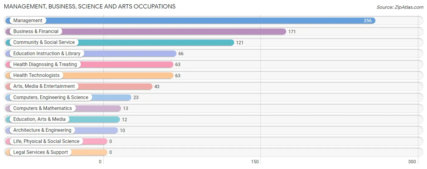 Management, Business, Science and Arts Occupations in Zip Code 33306