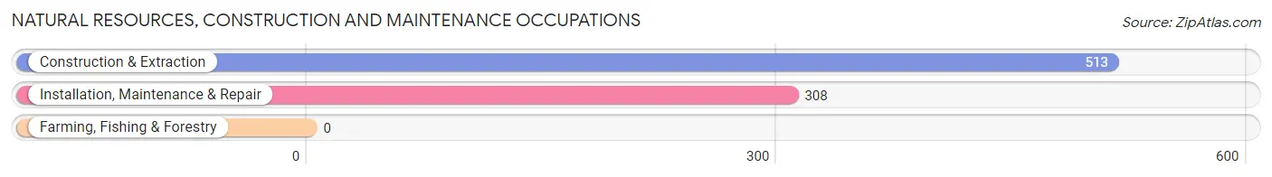 Natural Resources, Construction and Maintenance Occupations in Zip Code 33308