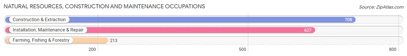 Natural Resources, Construction and Maintenance Occupations in Zip Code 33414