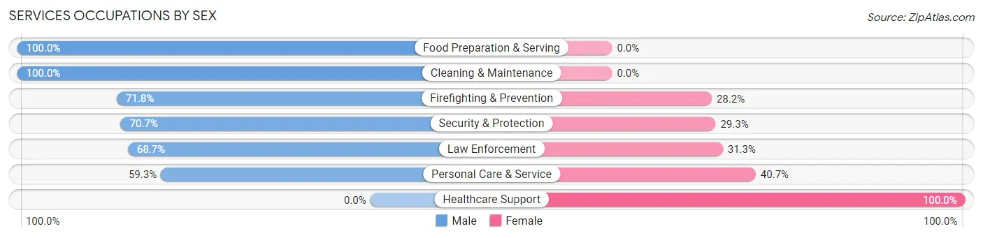 Services Occupations by Sex in Zip Code 33473