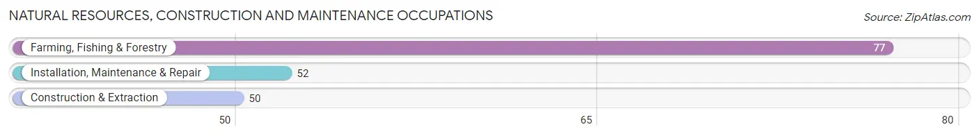 Natural Resources, Construction and Maintenance Occupations in Zip Code 33493