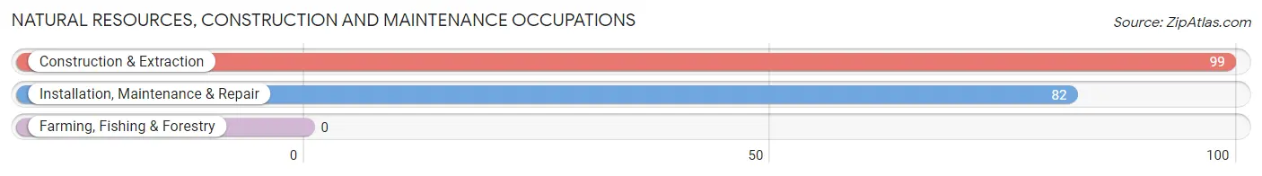 Natural Resources, Construction and Maintenance Occupations in Zip Code 33548