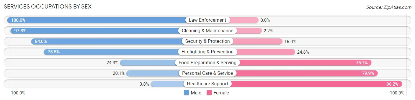 Services Occupations by Sex in Zip Code 33559