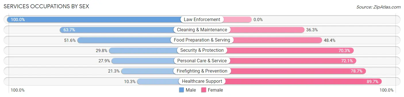 Services Occupations by Sex in Zip Code 33563