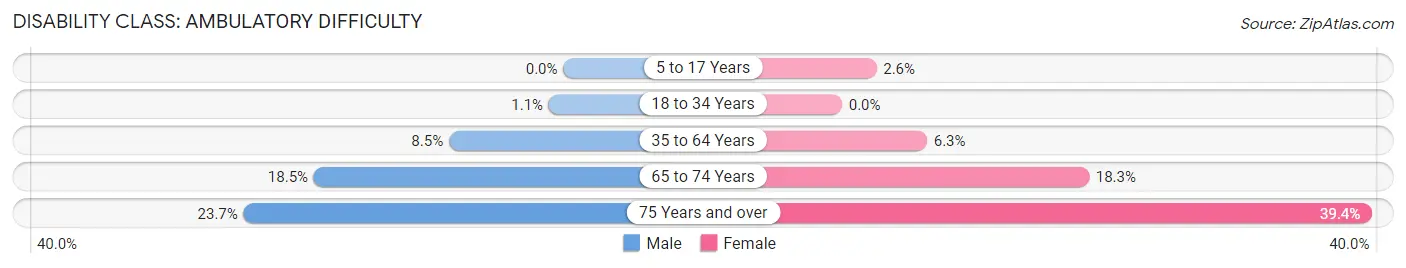 Disability in Zip Code 33569: <span>Ambulatory Difficulty</span>