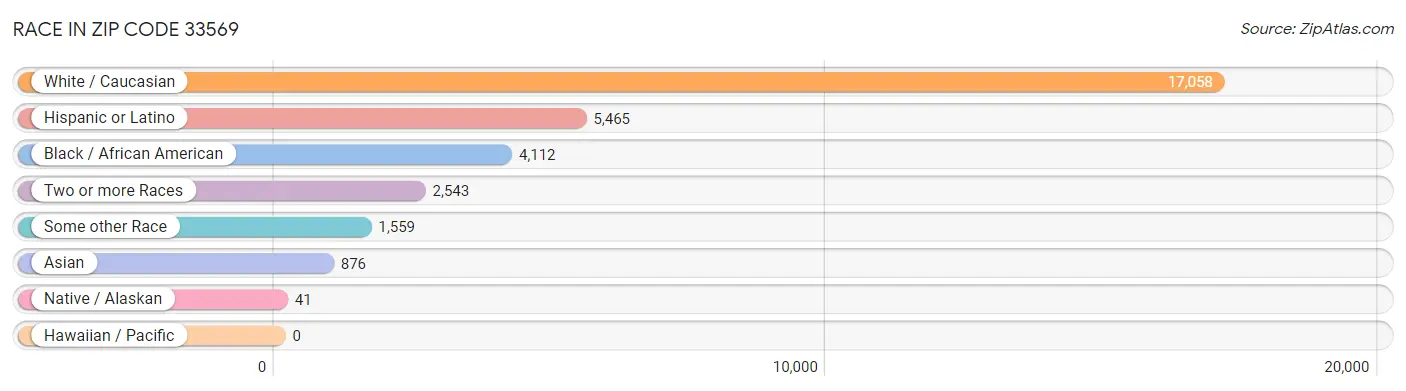 Race in Zip Code 33569